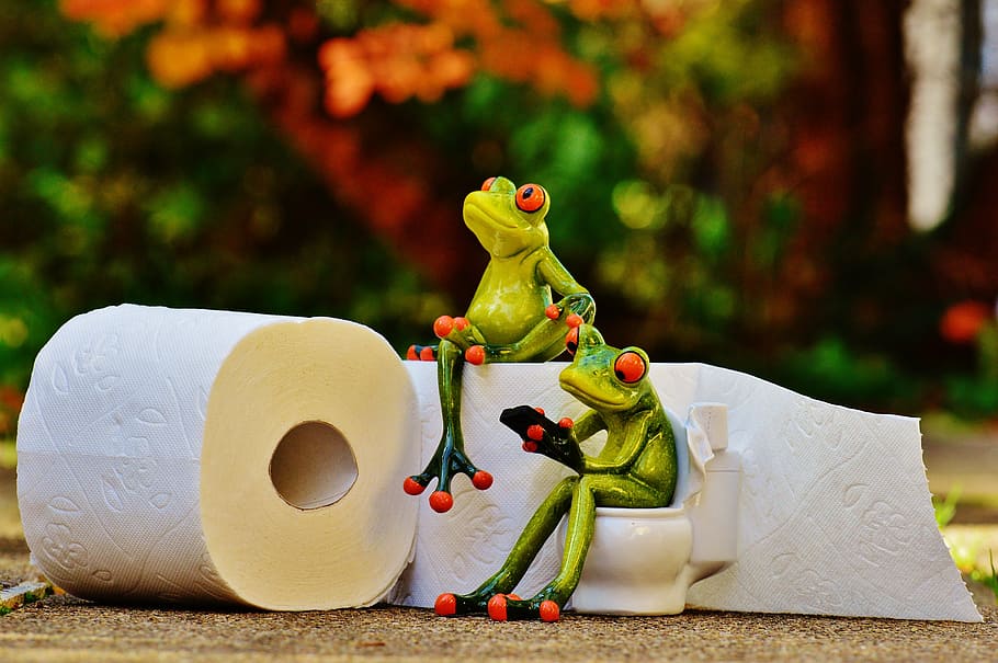 two tree frog figurines beside two white toilet papers, loo, session