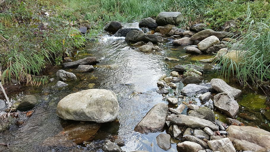 Creek, Streams, the rural brook, the creek, water, day, outdoors, HD wallpaper