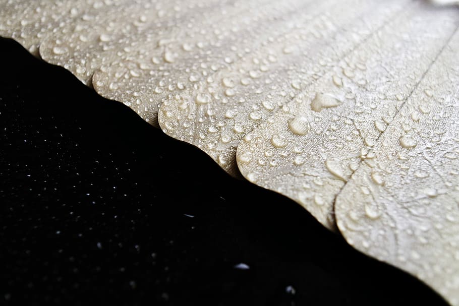 shutter, curtains, window, drop, water, wet, close-up, nature HD wallpaper