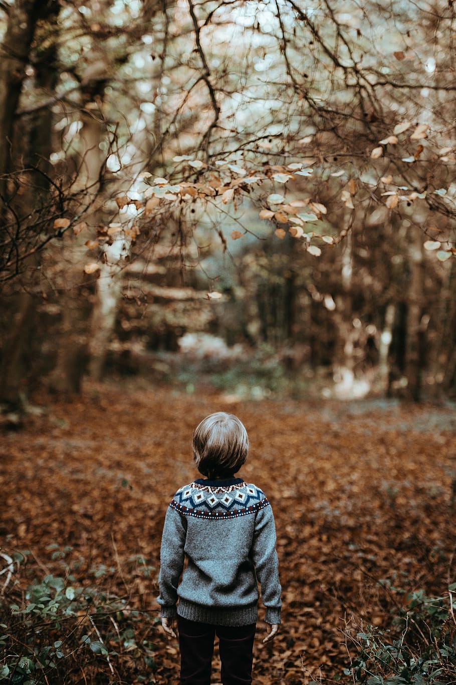 Underneath the tree. Children in the Wood.