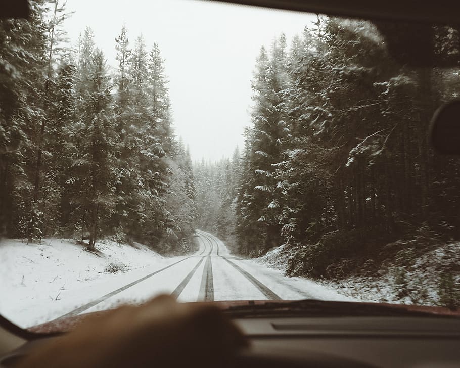 road covered by snow surrounded by trees, person, riding, car HD wallpaper