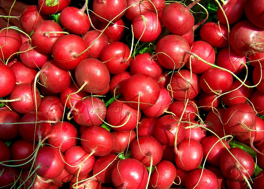 radish, red radish, vegetables, healthy eating, food, food and drink HD wallpaper