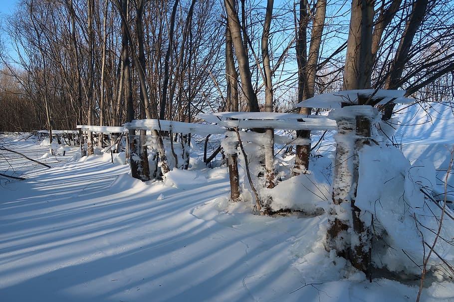 winter, forest, river, beach, flood, snow, figures, frost, cold HD wallpaper