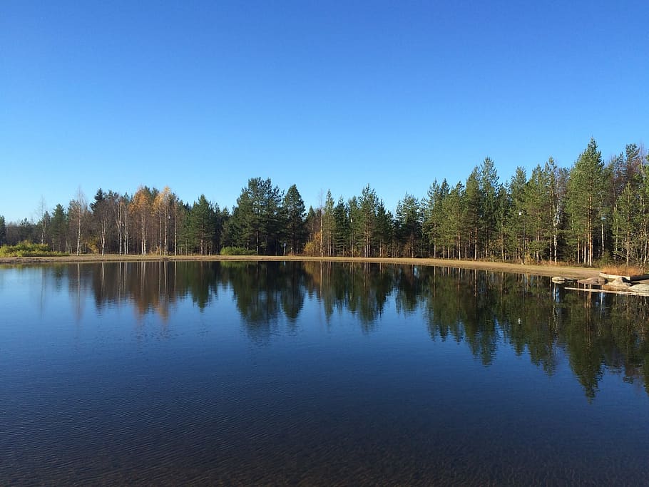 Forest, Arctic, Winter, nature, lake, tree, landscape, water HD wallpaper