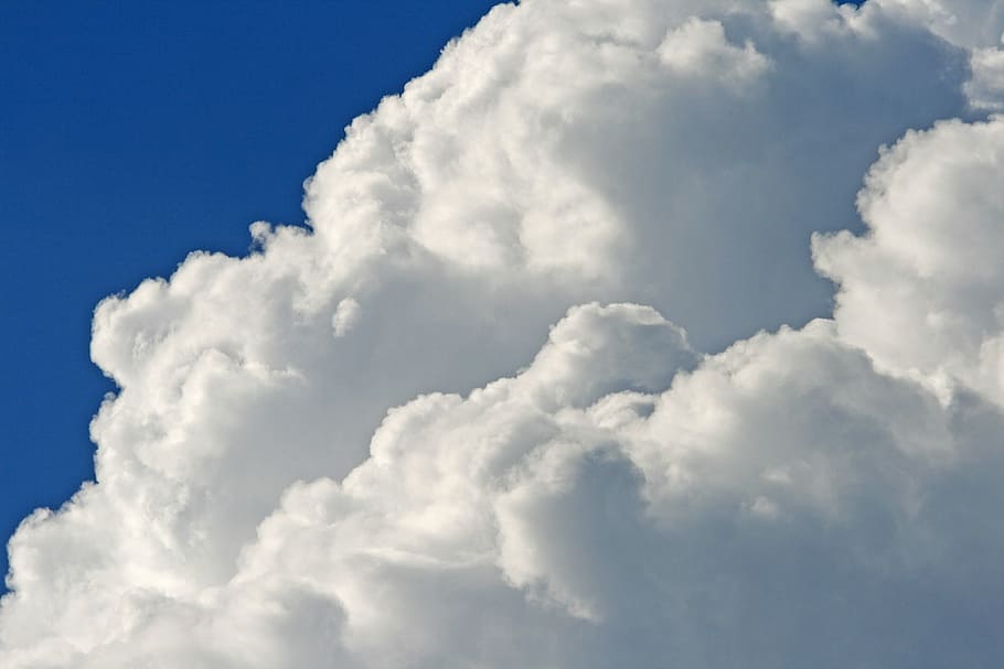 cumulus clouds, large, white, dense, sky, blue, cloudscape HD wallpaper