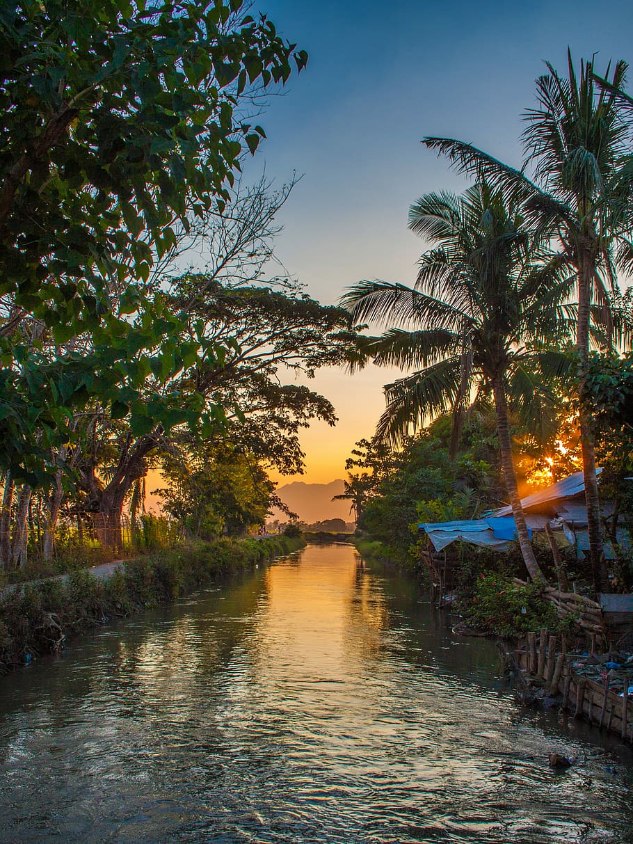 River, Palm Trees, Sunset, Nature, mood, atmosphere, philippines HD wallpaper