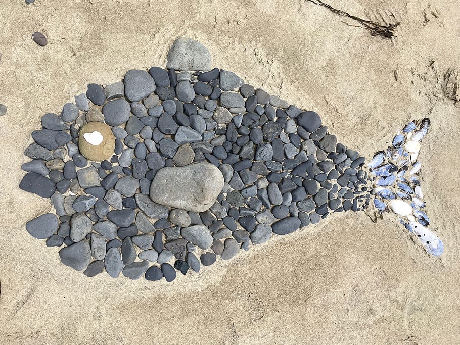 Fish, Rocks, Beach, rock - object, geology, pebble, industry HD wallpaper