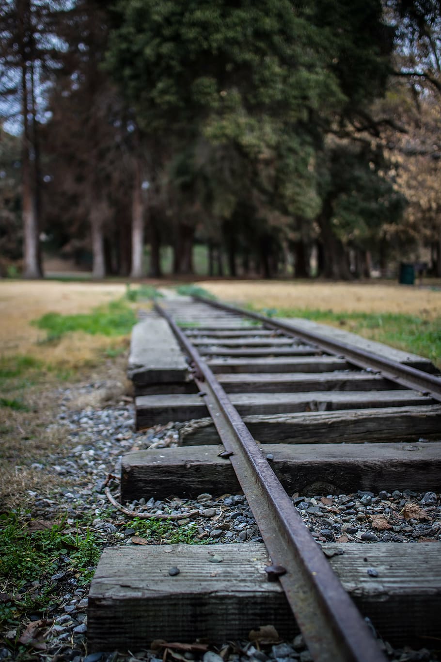 track, train, transportation, railroad, railway, travel, railroad Track HD wallpaper