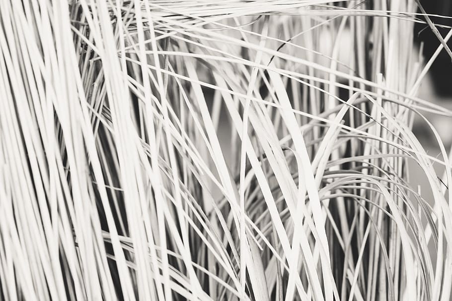 Bunch of straw in black and white, abstract, backgrounds, pattern
