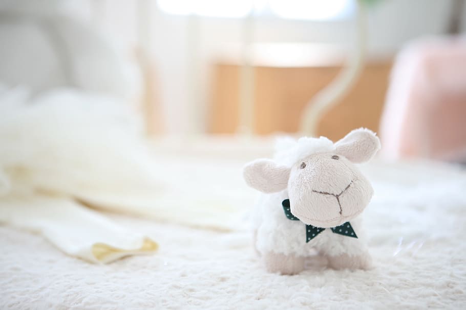 white sheep plush toy, doll, yang, stuffed toy, teddy bear HD wallpaper
