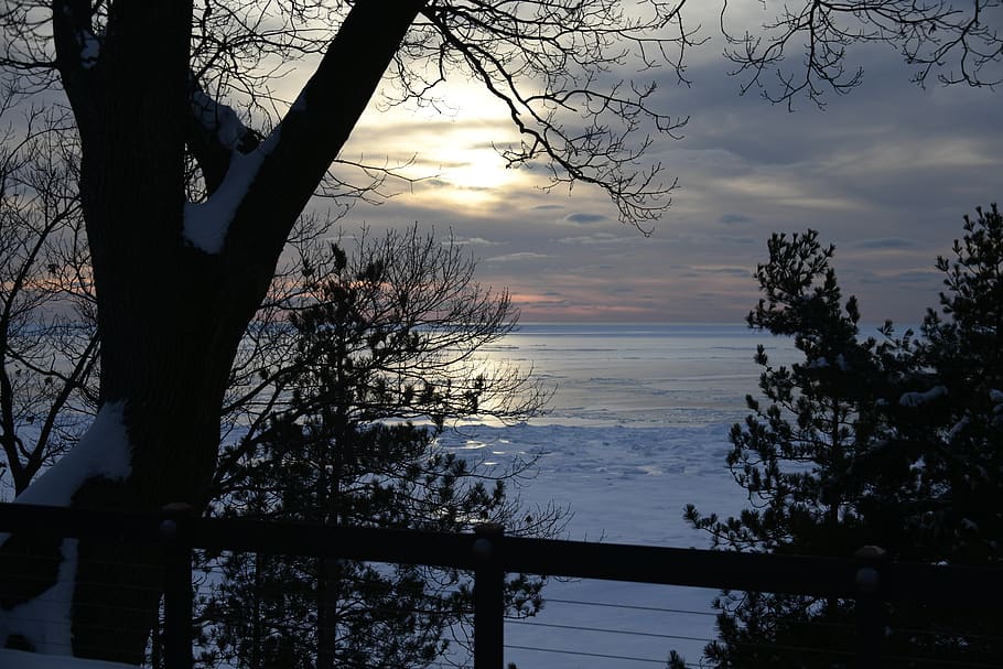 winter, lake, sun, tree, sky, plant, water, cloud - sky, sunset HD wallpaper