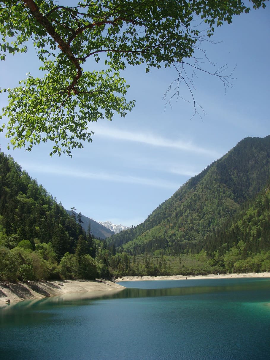 landscape, river, blue sky, water, tree, plant, mountain, beauty in nature HD wallpaper