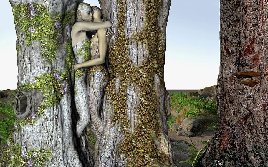 wooden couple artwork, fantasy, forest, fairytale, romantic HD wallpaper