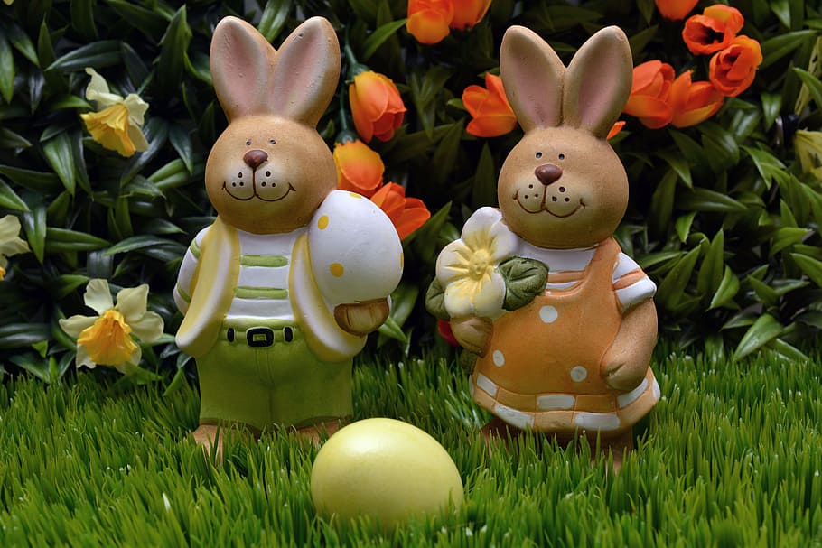 rabbit, easter, egg, yellow, flowers, spring, grass, easter decoration HD wallpaper
