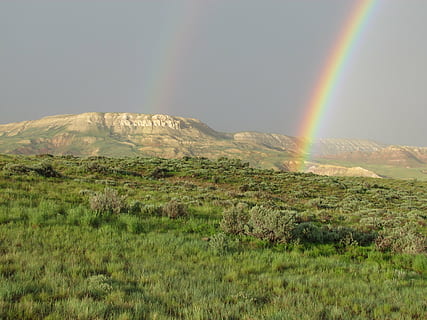 rainbows, two, double, scenic, weather, fossil butte, national monument HD wallpaper