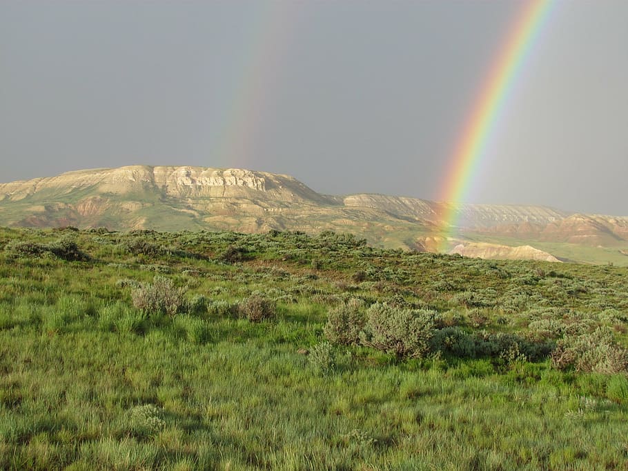 rainbows, two, double, scenic, weather, fossil butte, national monument HD wallpaper