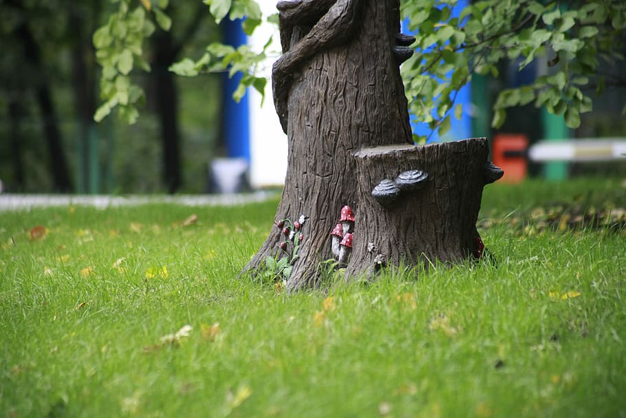 Summer, Grass, Trunk, penëk, tree, nature, green color, no people HD wallpaper