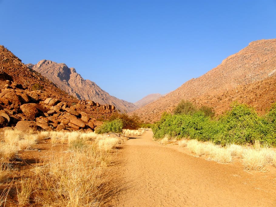 road, sandy, yellow, dry, foothills, stone, desert, bare, desolate HD wallpaper