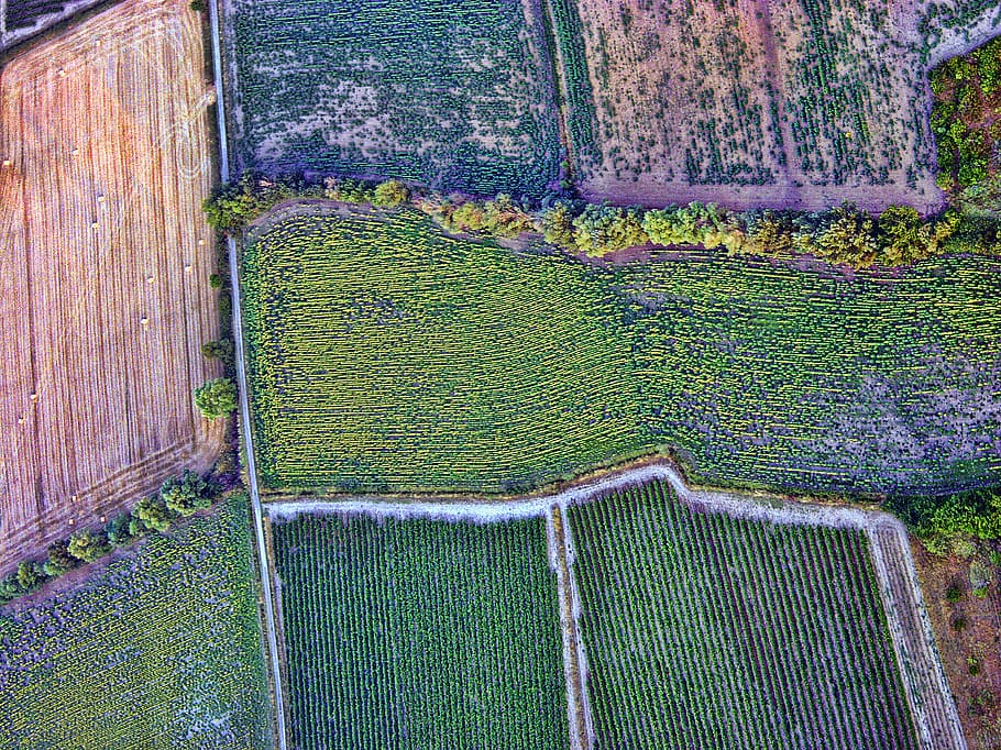 aerial, fields, cultivation, crops, nature, flora, grass, outdoors HD wallpaper
