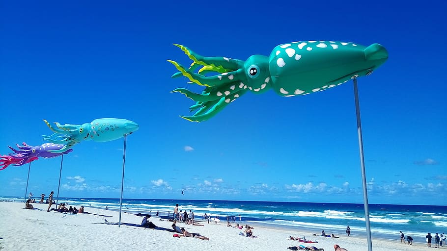 relaxation, beach, flying flag, squid, sunshine, sea, water HD wallpaper
