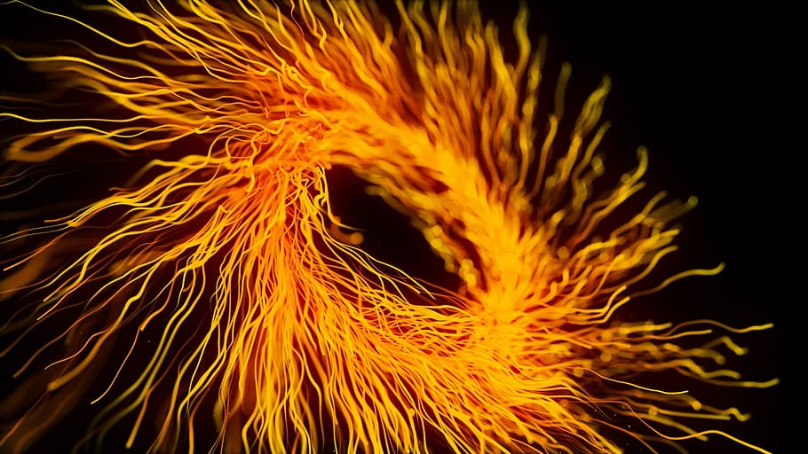 untitled, flame, danger, fireworks, color, abstract, art, energy HD wallpaper