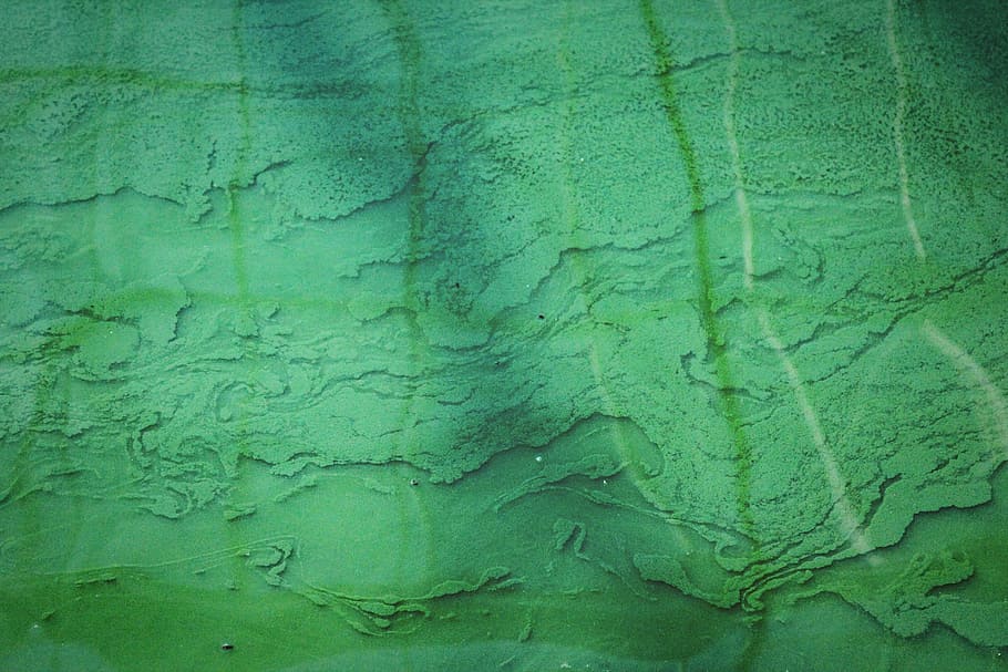 aerial view photography of body of water, teal textile, wall HD wallpaper