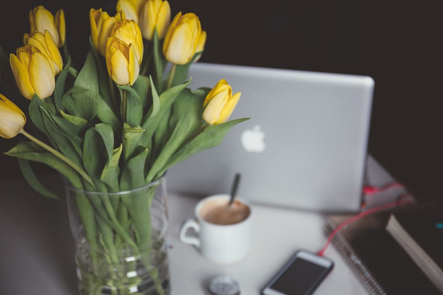 yellow tulips in glass vase, yellow tulips in vase near MacBook HD wallpaper