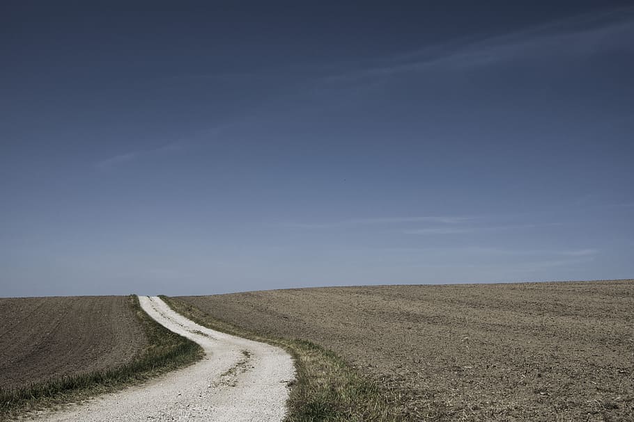 narrow road in between soil grounds, empty dirt road in between grassfield during daytime, HD wallpaper