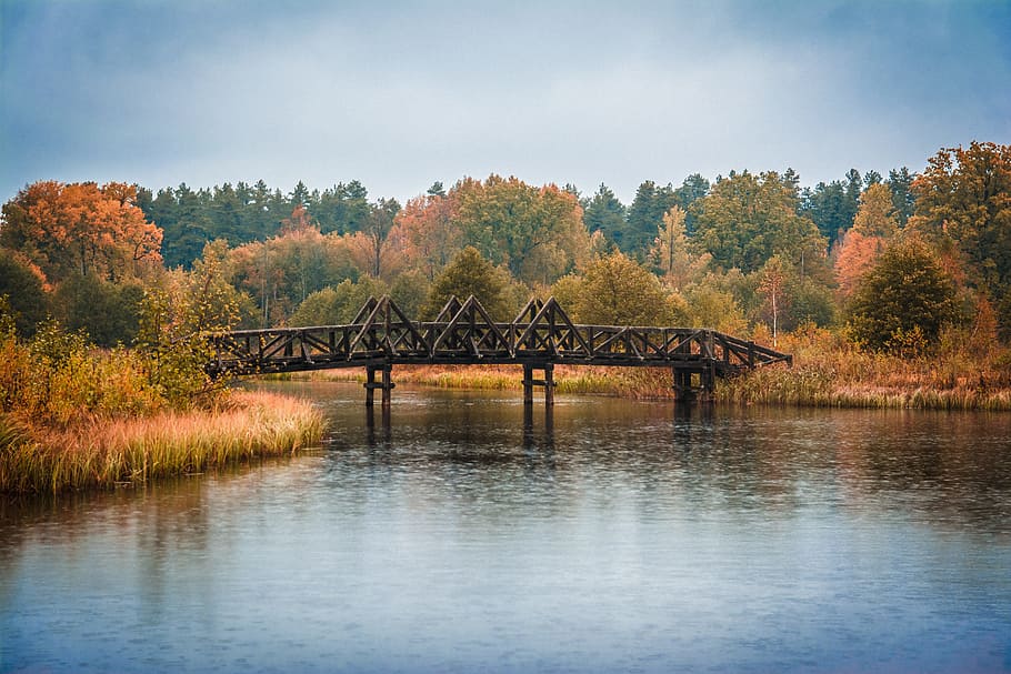 river, bridge, landscape, tranquility, nature, quay, beautiful view HD wallpaper
