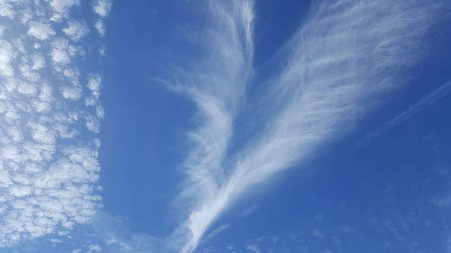 clouds, cloudy, unusual, heart shape, wispy, cloud - sky, blue HD wallpaper