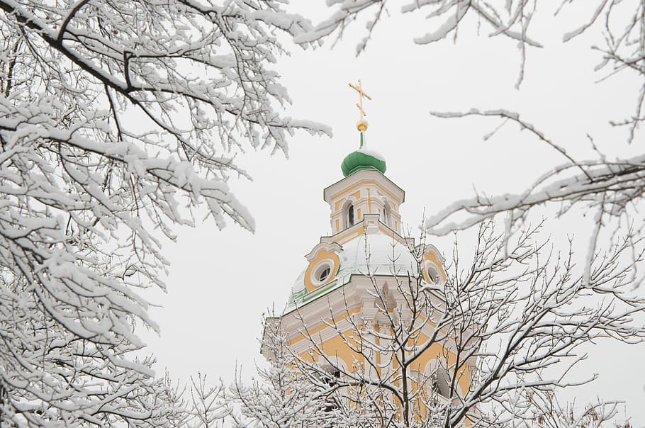 low-angle photography of cathedral, winter, snow, tree, coldly