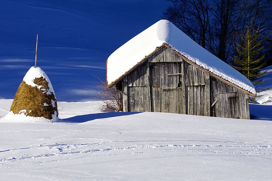 winter, barn, snow, scale, wood, log cabin, nature, rural, old HD wallpaper