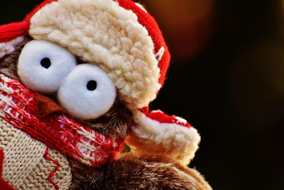 owl, plush, winter, funny, cap, scarf, bird, cute, decoration HD wallpaper