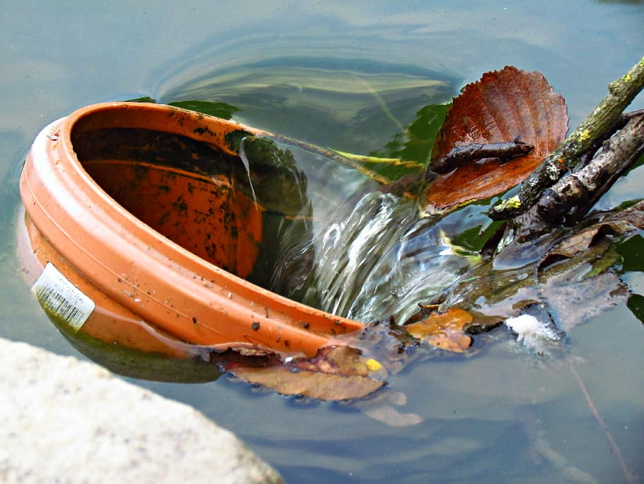 flower pot, water, various, pond, nature, day, no people, close-up HD wallpaper