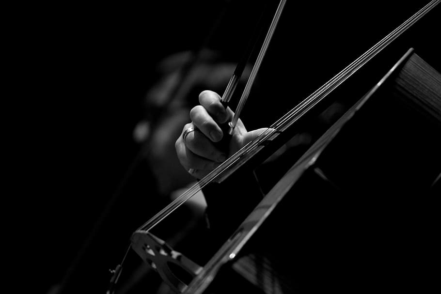 grayscale photo of persons playing violin, grayscale photo of person using violin HD wallpaper