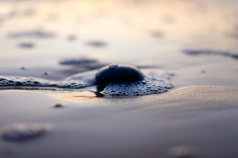 close-up photo of stone on seashore, close up photo of black pebble on water HD wallpaper
