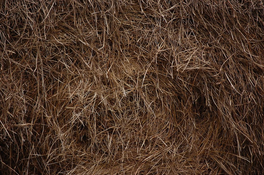 hay, field, grass, countryside, farm, farmland, natural, haystack, HD wallpaper