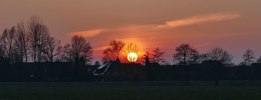 sunset, panorama, nature, landscape, red, cold, winter, tree HD wallpaper