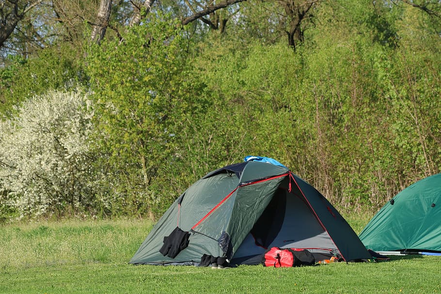 tent, camping, spring, plant, green color, land, tree, grass HD wallpaper