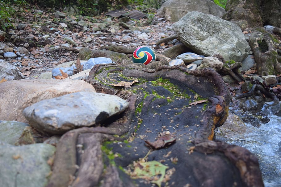 ball, water, root, solid, rock, rock - object, day, nature HD wallpaper