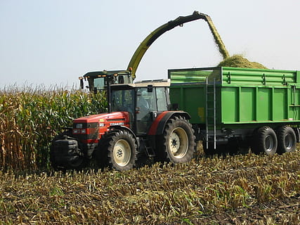red tractor on field, Corn, Harvest, Tractors, corn harvest HD wallpaper