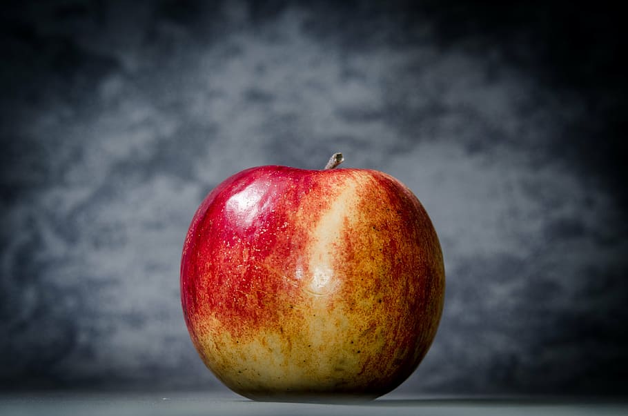 red apple with gray background, education, school, knowledge HD wallpaper