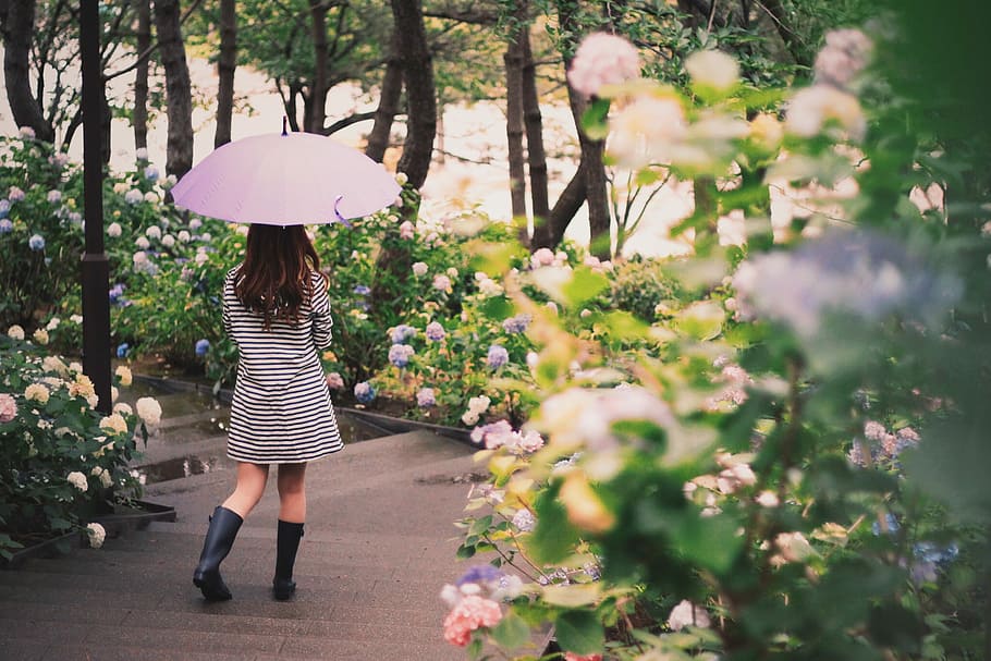 woman in black long sleeve dress, women, umbrella, nature, one Person HD wallpaper