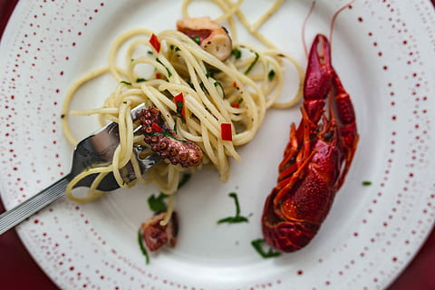 Fancy dinner with seafood pasta, crayfish and red wine by the table decorated with roses HD wallpaper