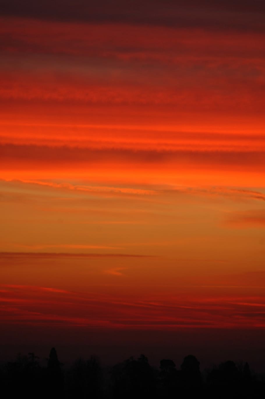 Sunrise, Forest, Minstead, Red, Orange, landscape, color, evening HD wallpaper