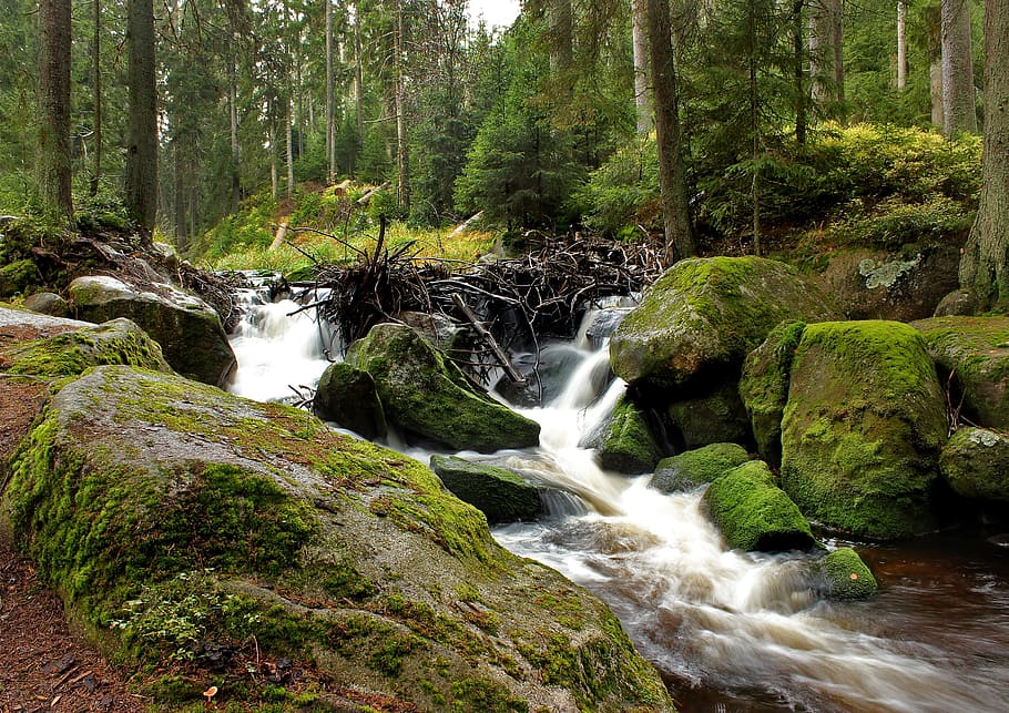 timelapse photography of river, šumava, water, moss, stones HD wallpaper