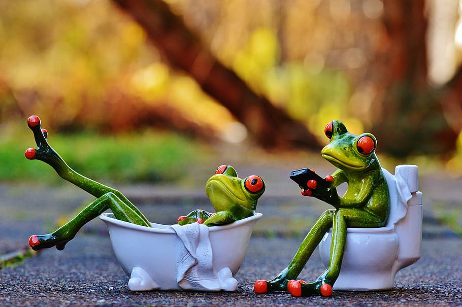 green frog sitting on toilet and lying on bathtub, loo, frogs