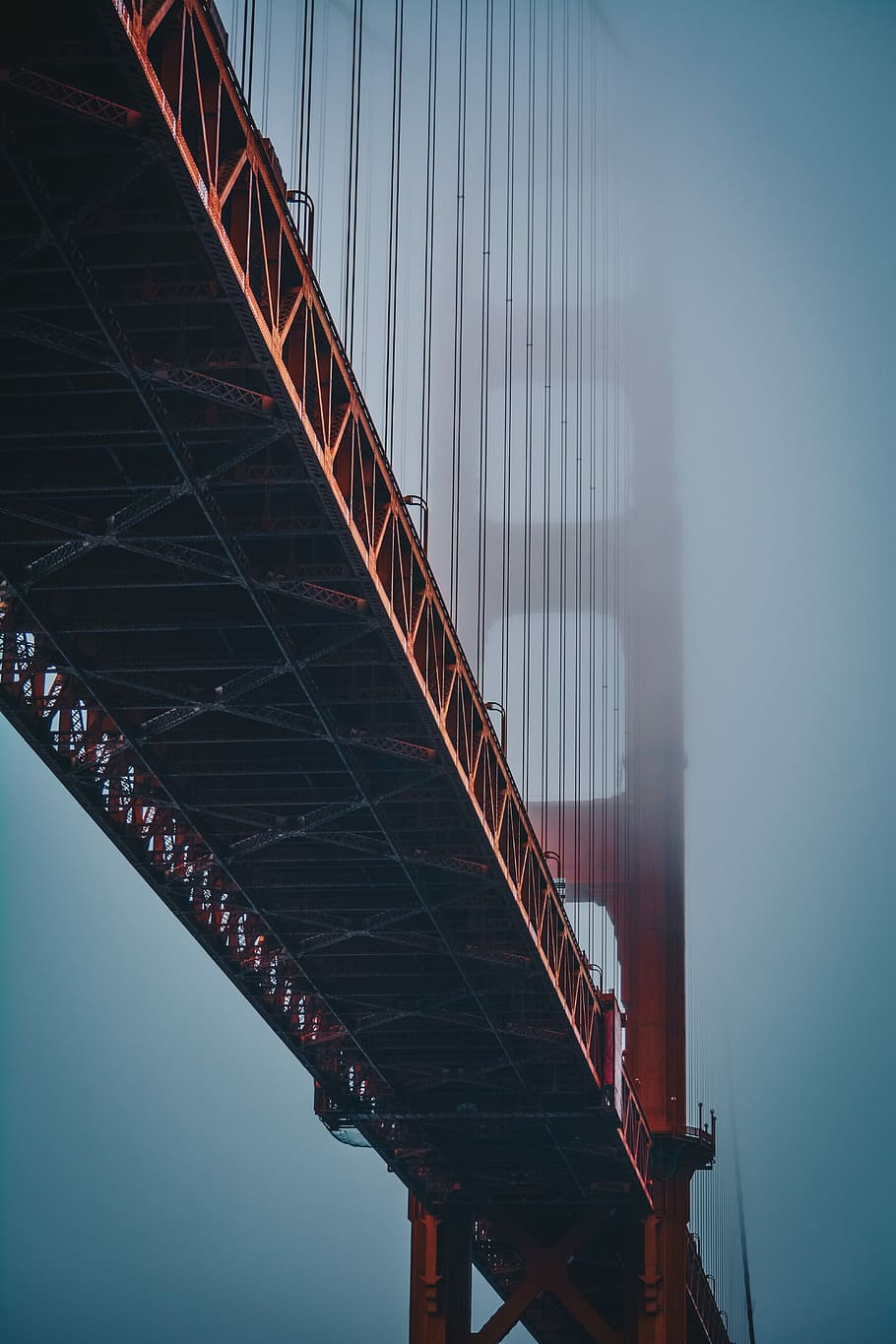 focus photo of brown bridge, low angle view photography of Golden Gate Bridge in San Francisco