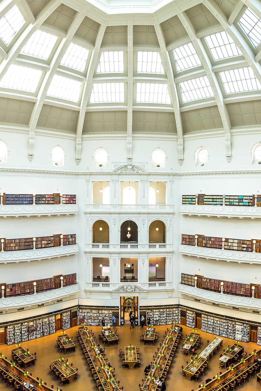 photo of people inside white dome library sitting beside desks, library interior HD wallpaper