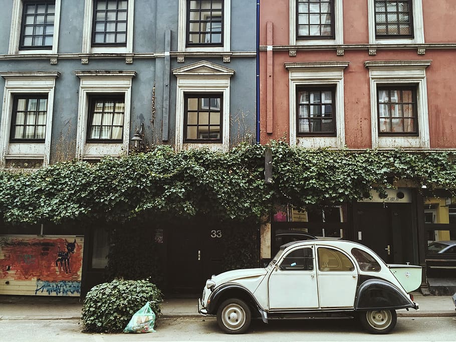white mini cooper on front of building, car, street, old, architecture HD wallpaper